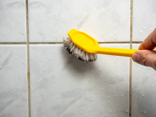 Best Best Mold Removal Companies  in Marlton, MD