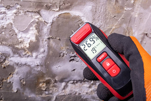 Best Residential Mold Removal  in Marlton, MD