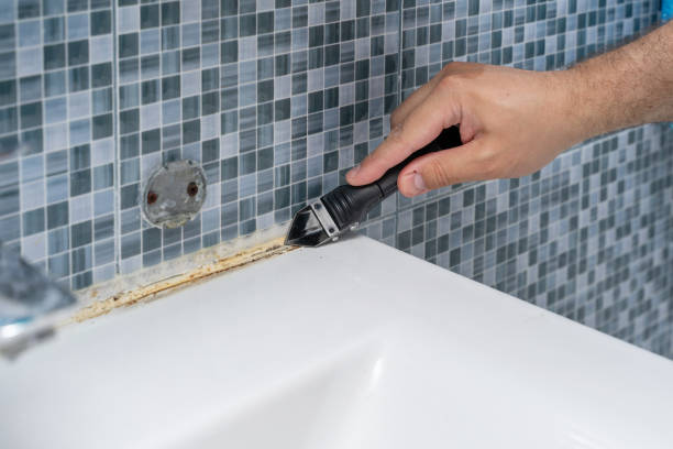 Best Mold Removal and Inspection  in Marlton, MD