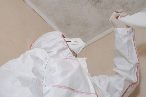 Best Mold Damage Repair  in Marlton, MD