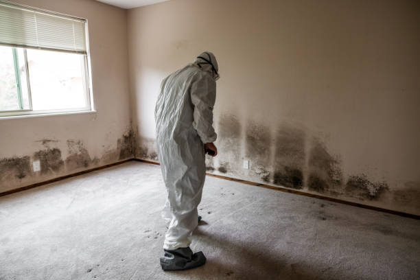Best Professional Mold Removal  in Marlton, MD
