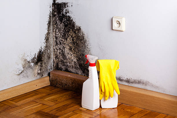 Best Crawl Space Mold Removal  in Marlton, MD